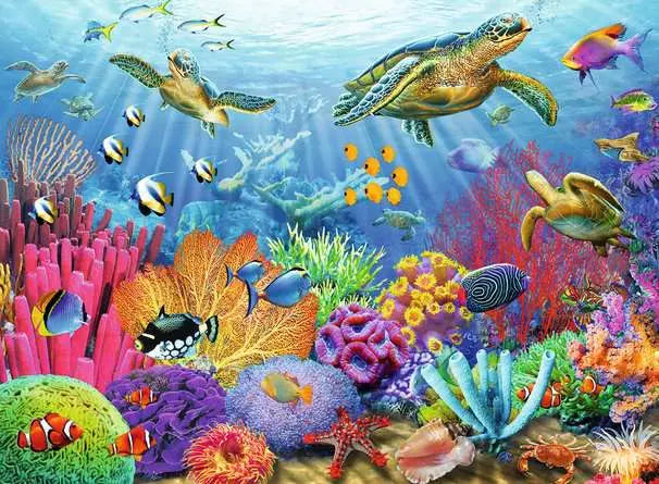 puzzle Ravensburger Eaux tropicales 500 pièces, illustration colorée d'un paysage sous-marin avec tortues et poissons.