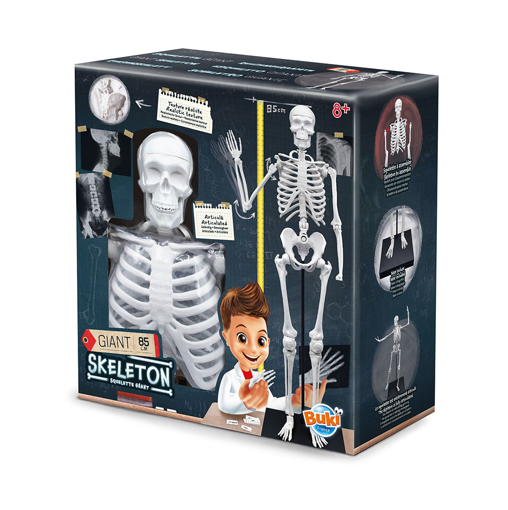 Buki France - Giant Skeleton 85cm