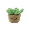 KIT DIY CROCHET – SUCCULENTE