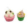Buki Professional Studio - Bougies cupcakes