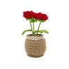 ROSES DIY CROCHET KIT