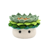 KIT DIY CROCHET- PLANTE