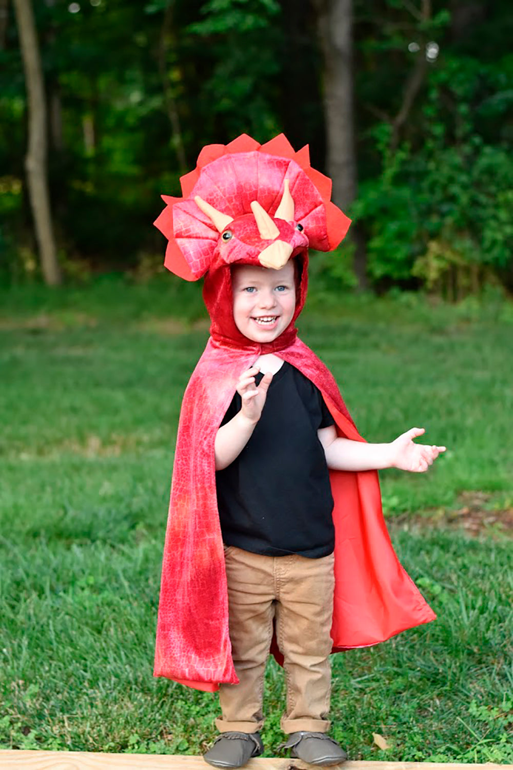 Costume enfant - Cape à capuche triceratops (4-5 ans)