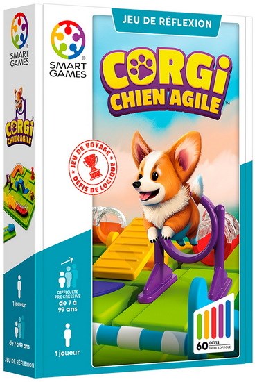 Corgi chien agile