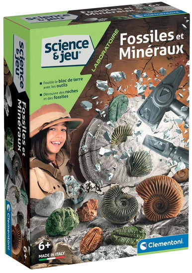 fossiles et mineraux