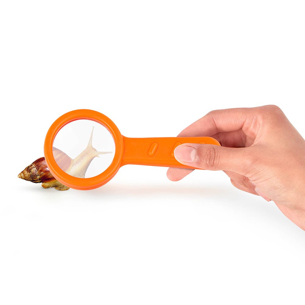 Aperçu d'un escargot à travers une loupe orange, idéale pour un aspirateur d'insectes pour enfants.