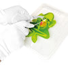 dissect it grenouille au labo