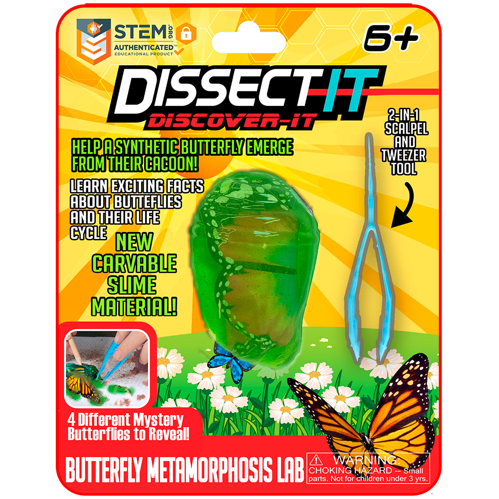 Dissect It - Discover papillon