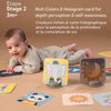 Taf Toys - Mes premières cartes découvertes