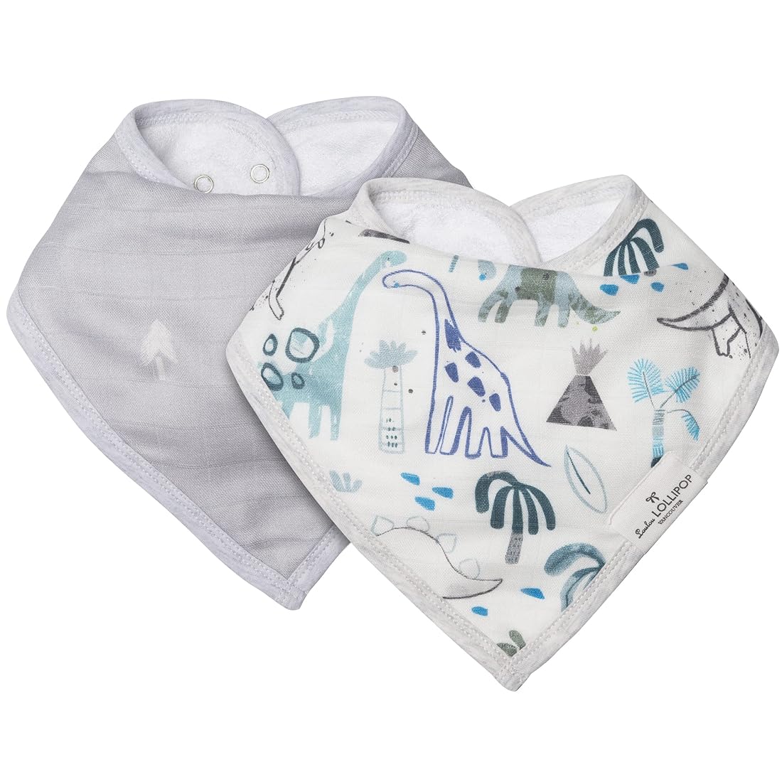 Bandana Bib Set - Dinosaurs