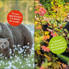Ours (Les)