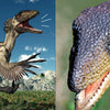 Auzou-Les dinosaures