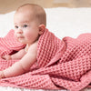 Bella Tunno- pink blanket