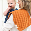 Bella Tunno- Reversible Bib + Anti-Regurgitation Pumpkin Wipe 🎃