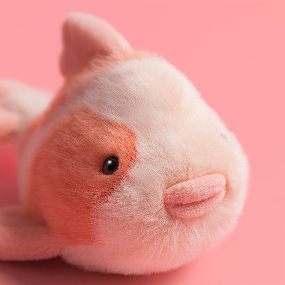 Jellycat Fancy Carp, un adorable poisson en peluche, doux et coloré sur fond rose.