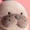 Jellycat Roarwell Sea Lion en gros plan, montrant son expression douce et câline.