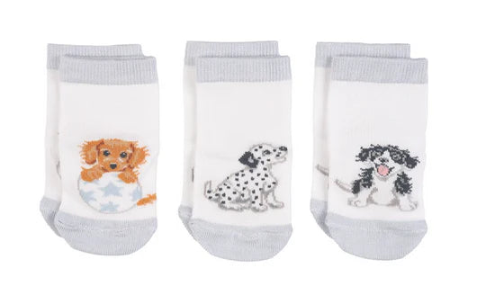 Wrendale Designs – Ensemble cadeau de chaussettes pour bébé 0-6 mois
