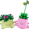 11506 Les plantes oscillantes