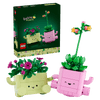 11506 Les plantes oscillantes