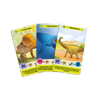 Défis Nature Junior / Au temps des dinosaures