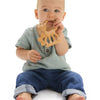 Fanfan anneau de dentition