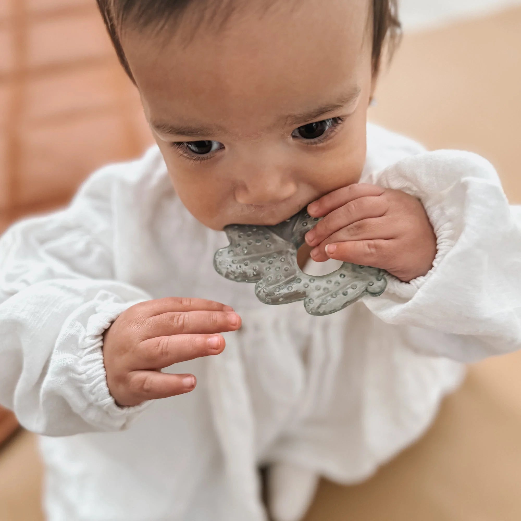 Cooling teething ring - Earth - Noüka