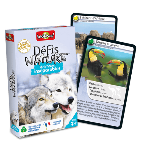 défis nature animaux inséparables