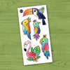 pico toucan