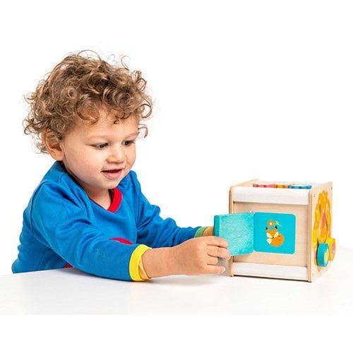 Le Toy Van PL105 Petite Activity Cube