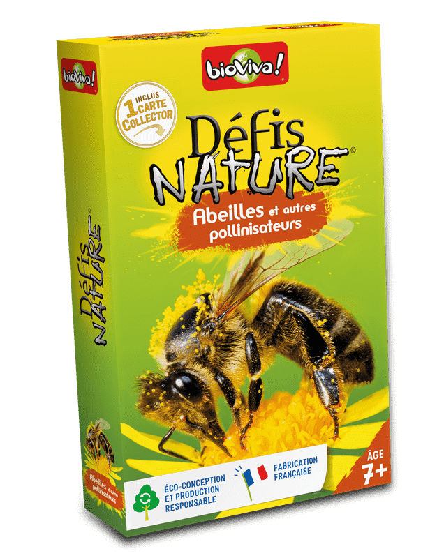 Défis nature: Abeilles