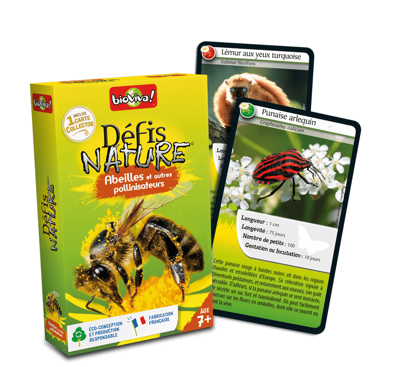 Défis nature: Abeilles