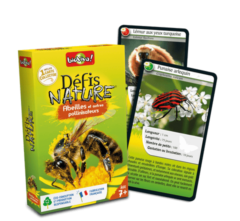 Défis nature: Abeilles